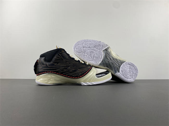 Titan x Air Jordan 23 CZ6222-001