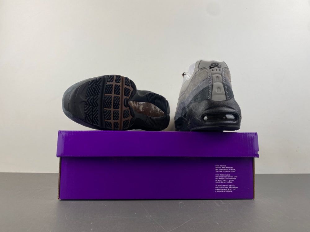 Nike Air Max 95 SB Cacao Wow HF7545-002